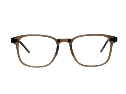 AN010